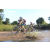 Team 31 / Raid l'Arbre Vert Cambodge - VTT