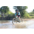 Team 31 / Raid l'Arbre Vert Cambodge - VTT