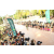 Raid l'Arbre Vert  Cambodge - Course Orientation