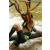 Raid l'Arbre Vert  Cambodge - Course Orientation