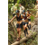 Team 37 / Raid l'Arbre Vert  Cambodge - Course Orientation