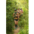 Team 54 / Raid l'Arbre Vert  Cambodge - Course Orientation
