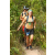Team 43 / Raid l'Arbre Vert  Cambodge - Course Orientation