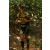 Team 25 / Raid l'Arbre Vert  Cambodge - Course Orientation