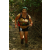 Team 25 / Raid l'Arbre Vert  Cambodge - Course Orientation