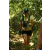 Team 50 / Raid l'Arbre Vert  Cambodge - Course Orientation