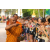 Raid l'Arbre Vert  Cambodge - Course Orientation