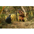 Team 39 / Raid l'Arbre Vert  Cambodge - Course Orientation