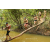Team 62 / Raid l'Arbre Vert  Cambodge - Course Orientation