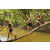 Team 65 / Raid l'Arbre Vert  Cambodge - Course Orientation