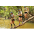 Team 16 / Raid l'Arbre Vert  Cambodge - Course Orientation