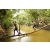 Team 47 / Raid l'Arbre Vert  Cambodge - Course Orientation