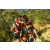 Team 28 / Raid l'Arbre Vert  Cambodge - Course Orientation