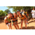 Team 52 / Raid l'Arbre Vert  Cambodge - Course Orientation