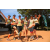 Team 13 / Raid l'Arbre Vert  Cambodge - Course Orientation