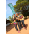 Team 56 / Raid l'Arbre Vert  Cambodge - Course Orientation