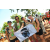 Team 40 / Raid l'Arbre Vert  Cambodge - Course Orientation