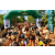 Raid l'Arbre Vert  Cambodge - Course Orientation