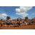 Raid l'Arbre Vert  Cambodge - Course Orientation
