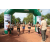 Team 07 / Raid l'Arbre Vert  Cambodge - Course Orientation