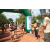 Team 09 / Raid l'Arbre Vert  Cambodge - Course Orientation