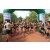 Team 38 / Raid l'Arbre Vert  Cambodge - Course Orientation