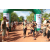 Team 56 / Raid l'Arbre Vert  Cambodge - Course Orientation