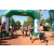 Team 25 / Raid l'Arbre Vert  Cambodge - Course Orientation
