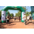 Team 48 / Raid l'Arbre Vert  Cambodge - Course Orientation