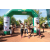 Team 58 / Raid l'Arbre Vert  Cambodge - Course Orientation