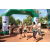 Team 76 / Raid l'Arbre Vert  Cambodge - Course Orientation