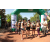 Team 50 / Raid l'Arbre Vert  Cambodge - Course Orientation