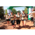 Team 11 / Raid l'Arbre Vert  Cambodge - Course Orientation