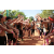 Team 76 / Raid l'Arbre Vert  Cambodge - Course Orientation