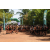 Raid l'Arbre Vert  Cambodge - Course Orientation