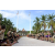 Raid l'Arbre Vert  Cambodge - Course Orientation
