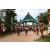 Team 81 / Raid l'Arbre Vert  Cambodge - Course Orientation