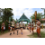 Team 16 / Raid l'Arbre Vert  Cambodge - Course Orientation