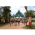 Team 54 / Raid l'Arbre Vert  Cambodge - Course Orientation