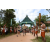 Team 38 / Raid l'Arbre Vert  Cambodge - Course Orientation