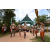 Team 52 / Raid l'Arbre Vert  Cambodge - Course Orientation