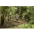 Team 12 / Raid l'Arbre Vert  Cambodge - Course Orientation