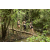 Team 44 / Raid l'Arbre Vert  Cambodge - Course Orientation