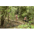Team 62 / Raid l'Arbre Vert  Cambodge - Course Orientation