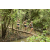 Team 65 / Raid l'Arbre Vert  Cambodge - Course Orientation