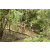 Team 85 / Raid l'Arbre Vert  Cambodge - Course Orientation