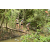 Team 16 / Raid l'Arbre Vert  Cambodge - Course Orientation