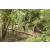 Team 47 / Raid l'Arbre Vert  Cambodge - Course Orientation