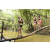 Team 77 / Raid l'Arbre Vert  Cambodge - Course Orientation