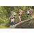 Team 54 / Raid l'Arbre Vert  Cambodge - Course Orientation